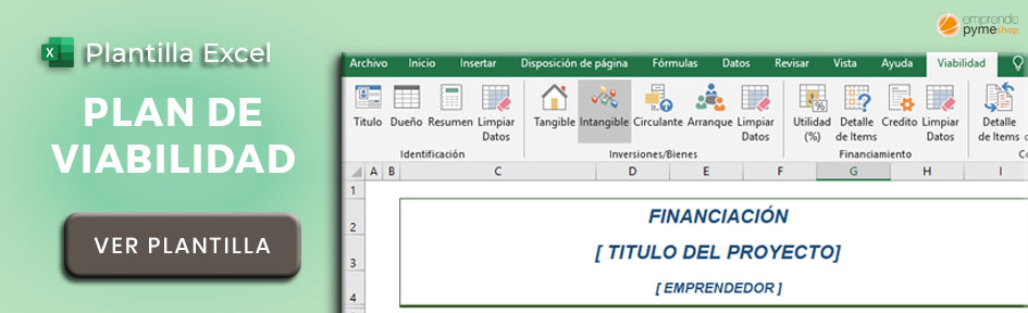 Plantilla Premium Excel para hacer un plan de viabilidad