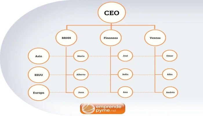 Estructura Organizativa De La Empresa Cual Elegir Y Tipos